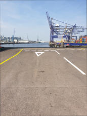 whte and Yellow Lining